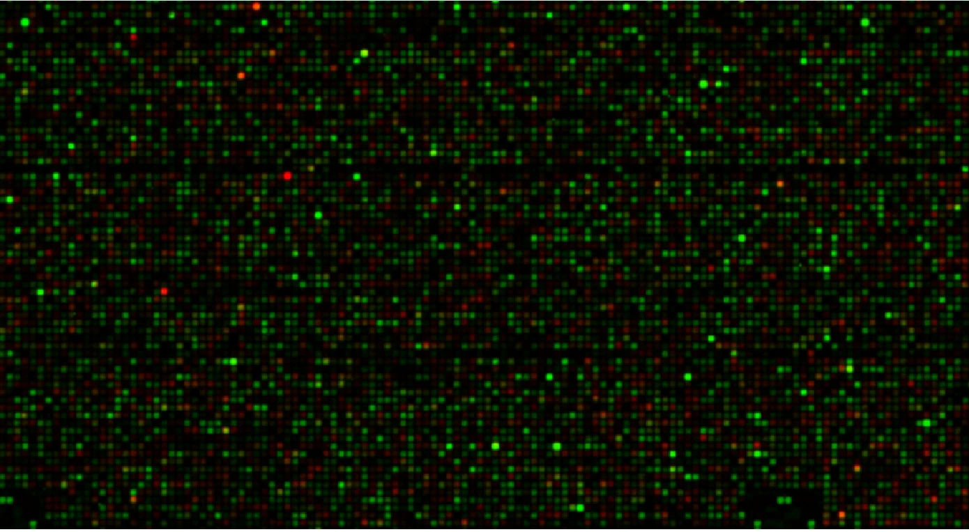Multiplex fluorescence signals from a DNA array